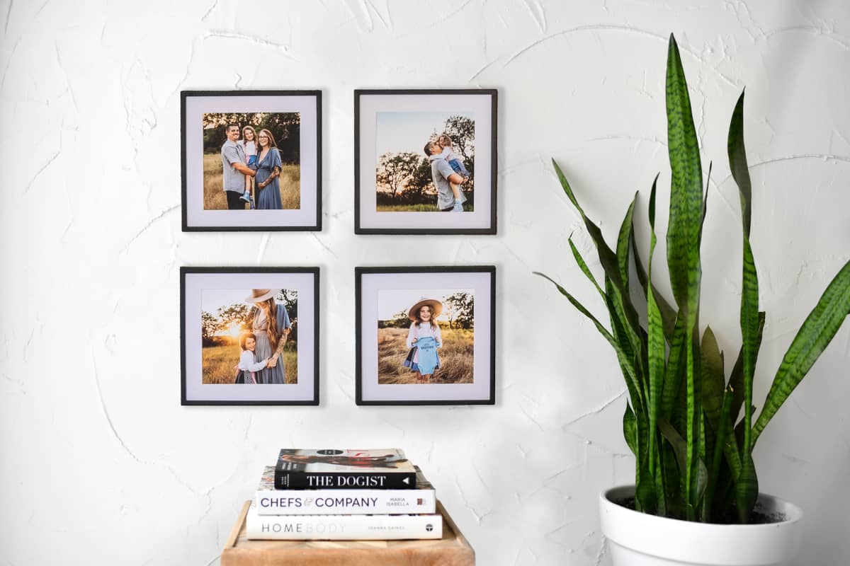 Parabo Press Homepage