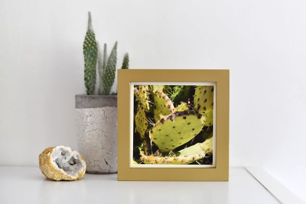 A photo of a cactus is on display in a square gold photo frame.