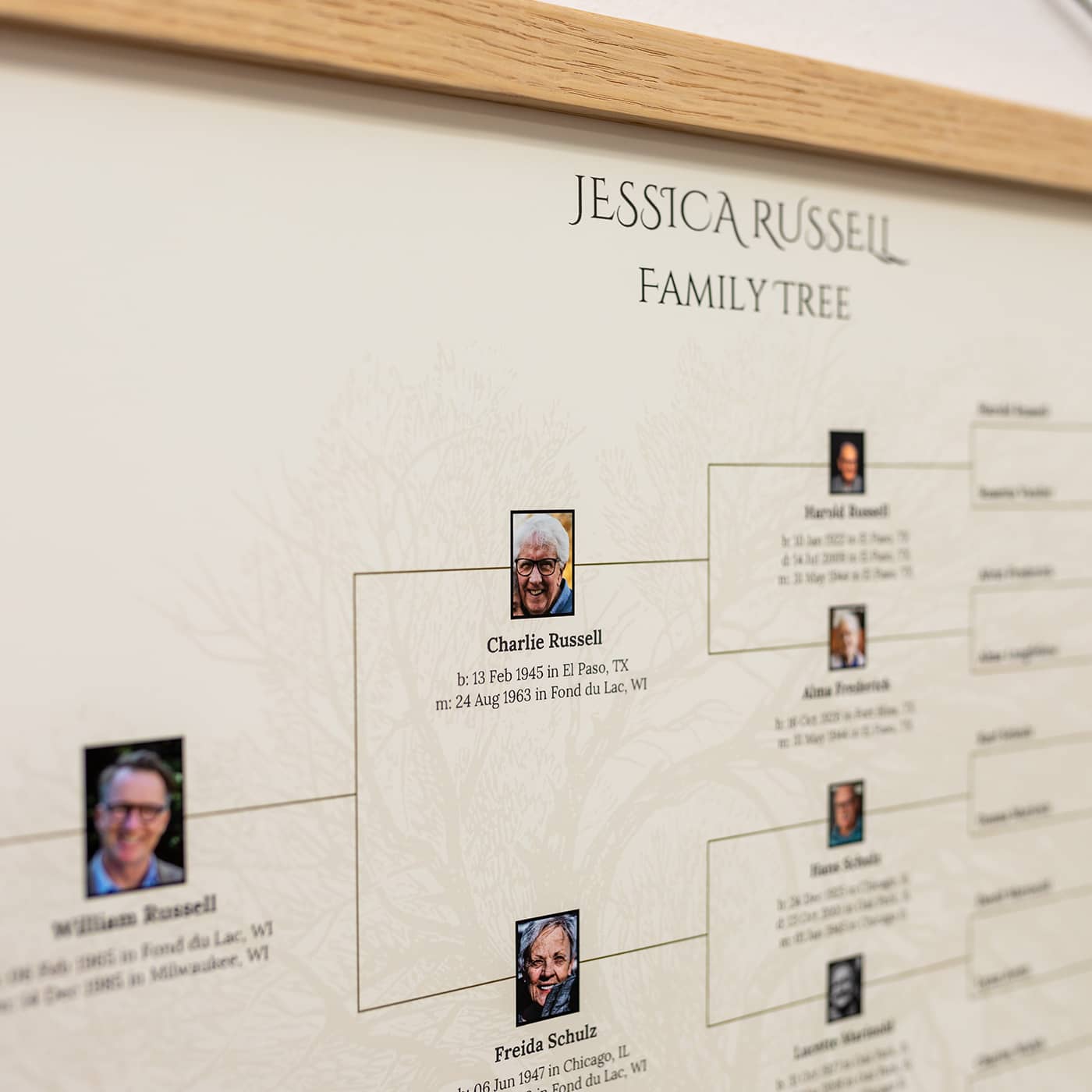 MyCanvas: Ancestry Family Tree Poster