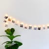 A string of LED Clip lights holding Square Prints of vacation photos, hangs behind a houseplant.