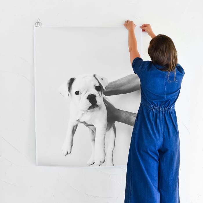 A person hangs a black and white Engineer Print of a puppy on a wall using Skeleton Clips.