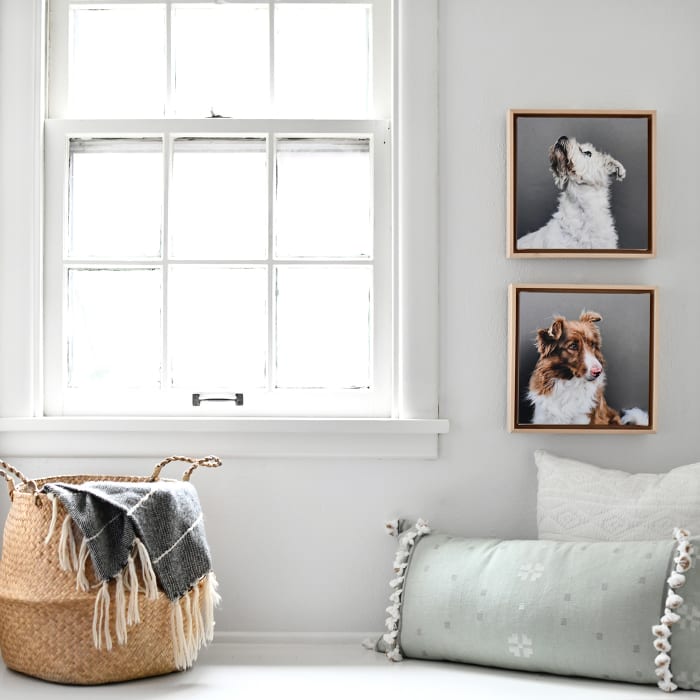 Two Floating Frame Canvas Prints featuring photos of dogs are hung vertically next to a sunny window.