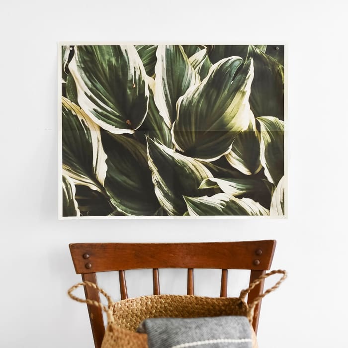 A 17x22 Newsprint on ivory paper with a fold down the middle, showing hosta leaves, hangs above a wooden chair.