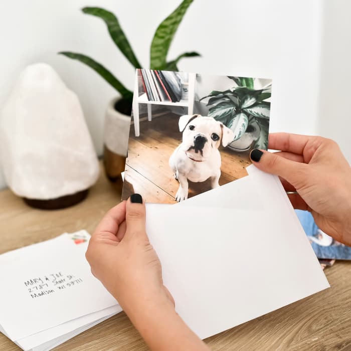 Hands place a photo of a dog inside a white Square Envelope.