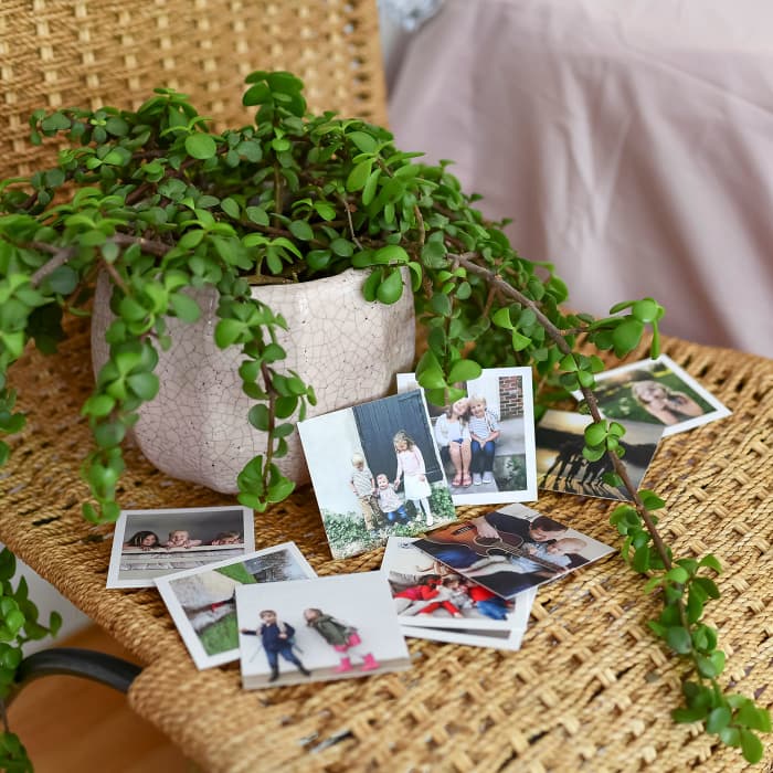 Family photos printed as 10 Tiny Prints are scattered in front of a potted plant.